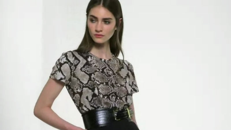 Credit: Target via Style.com