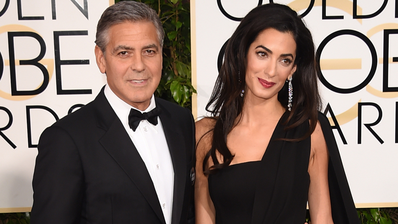 George and Amal Clooney Adopt Basset Hound