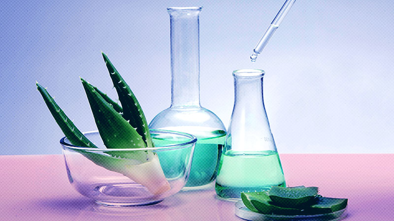 Lisa Eldridge Shares All Her Summer Beauty Secrets