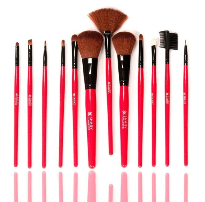 SHANY Cosmetic Brush Set
