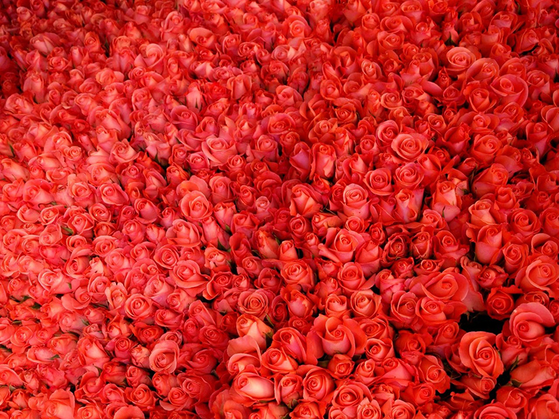 Emojiface Is the Hilarious New App Turning Your Face Into an Emoji