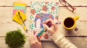 STYLECASTER | adult coloring books