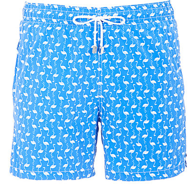 roda-flamingo-board-shorts