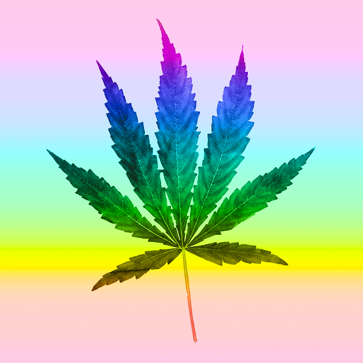 Why Charlize Theron Stopped Smoking Weed Marijuana