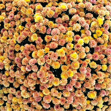 10 Things No One Ever Tells You About: Shaving Your Legs