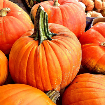 Justin Bieber Takes His Mom to the Salon for a Pedicure