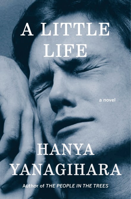 a little life book