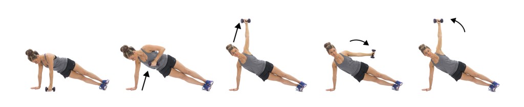 Side high plank and dumbbell raise
