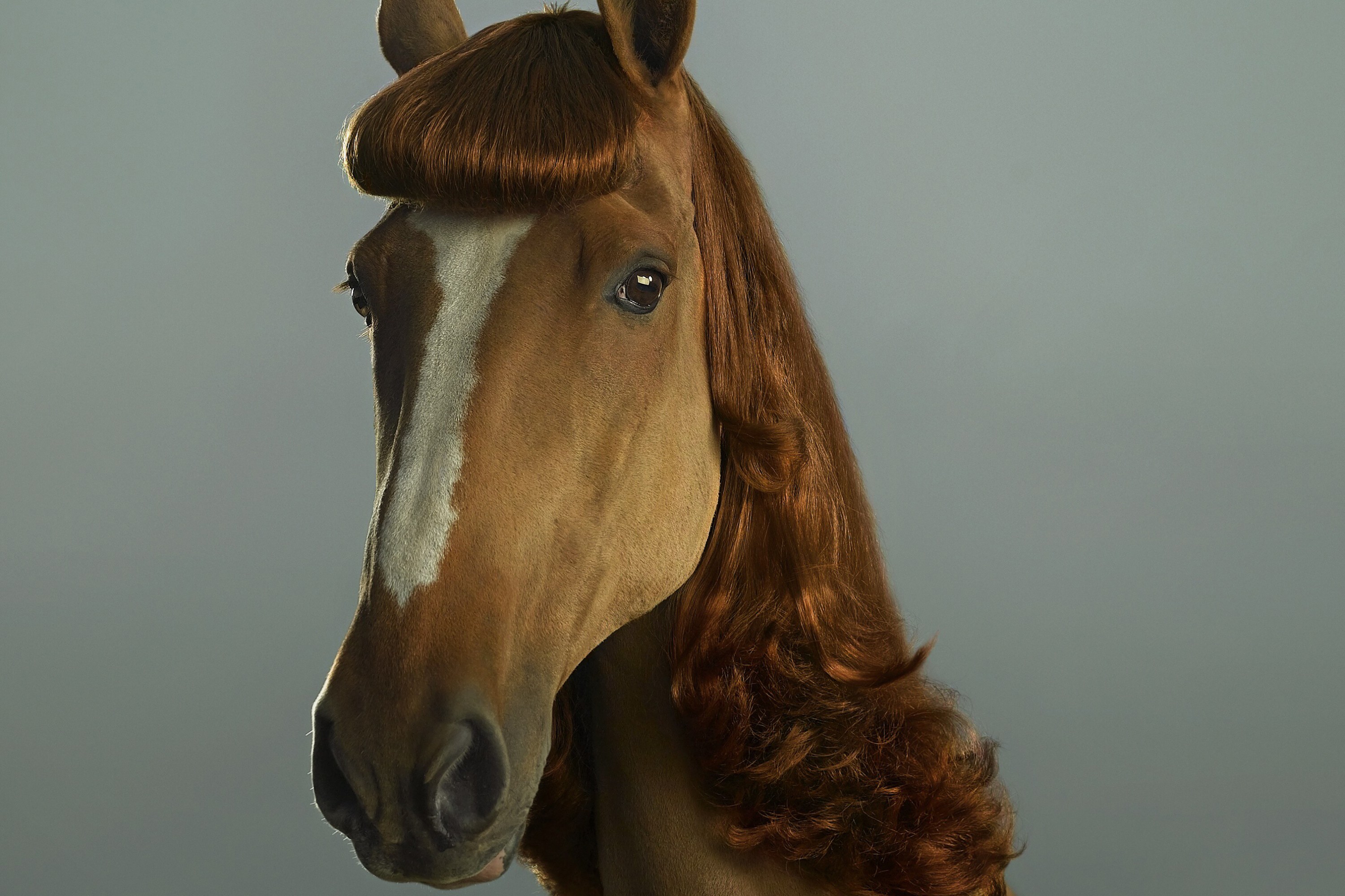 Pet Halloween Costumes At Target For Dogs, Cats & More