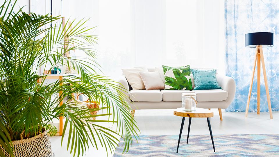 Velour Tracksuits Are Back, Baby