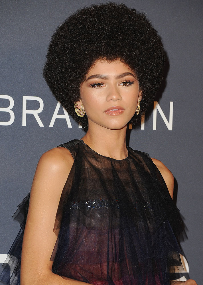 Zendaya Wig.