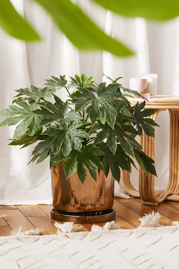 Urban Outfitters' Summer Sale Wants You to Fill Your Home with Affordable Decor | STYLECASTER