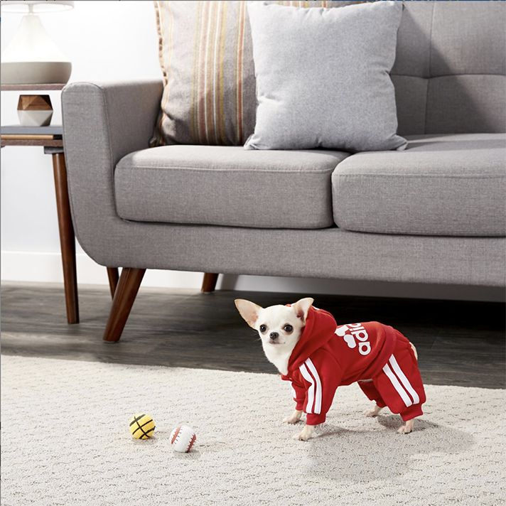 STYLECASTER | 17 Stocking Stuffers for Pets 