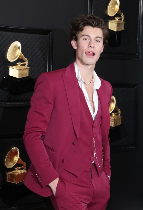 Shawn Mendes Grammys 2020