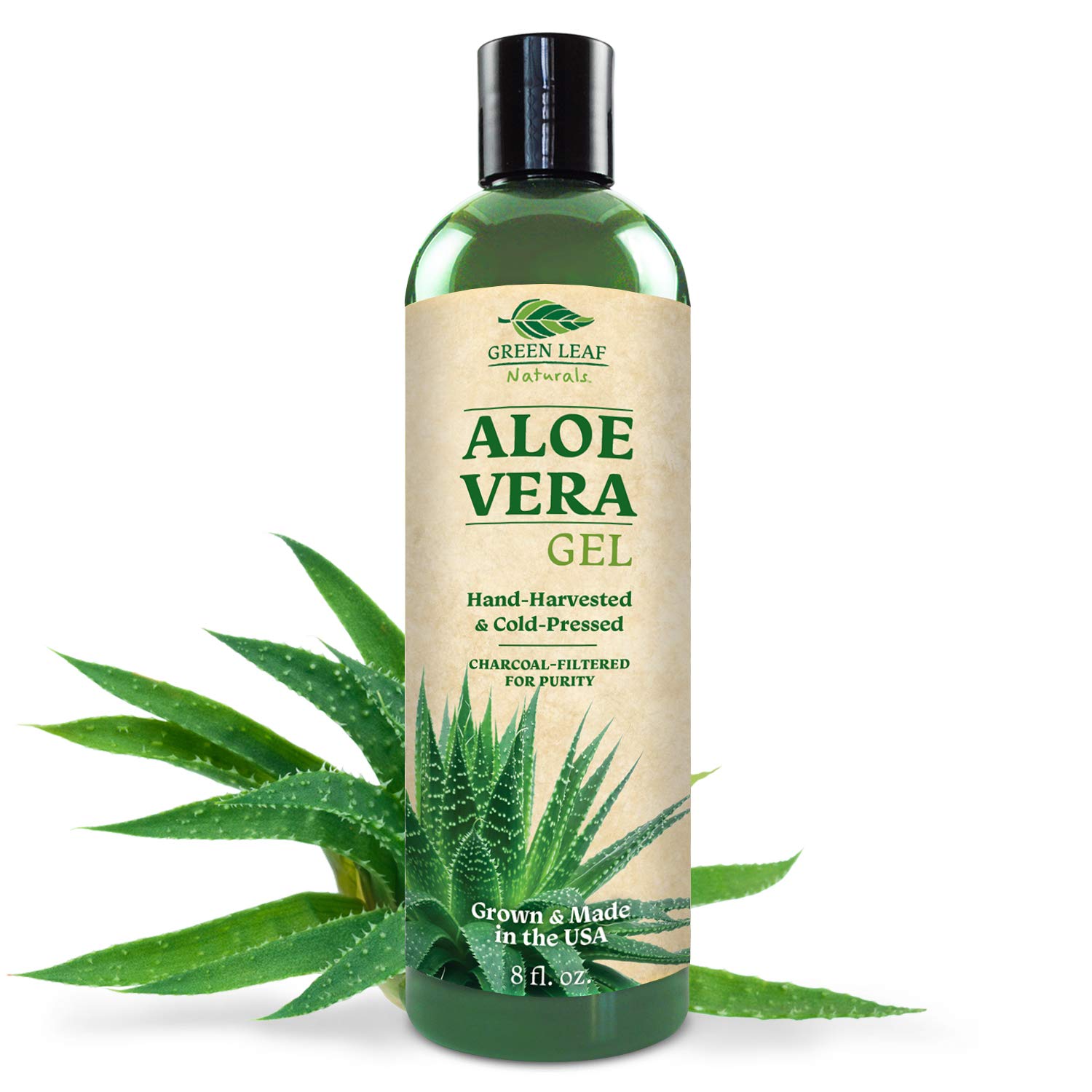 Green Leaf aloe vera
