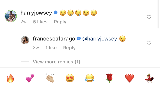 Harry-Francesca-Too-Hot-to-Handle-IG-Comment-1