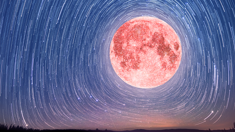 STYLECASTER | Weekly Horoscope