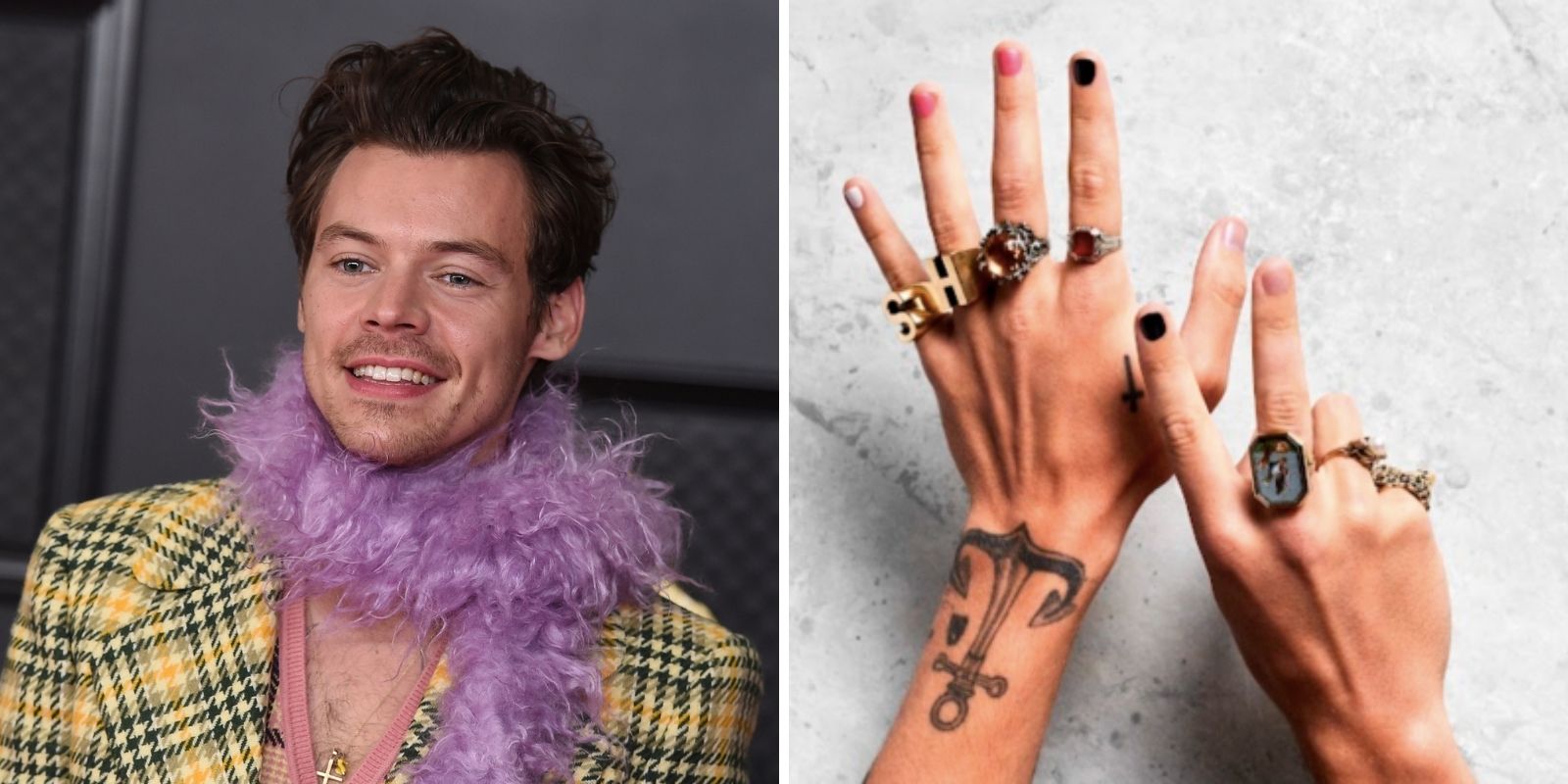 harry styles pleasing