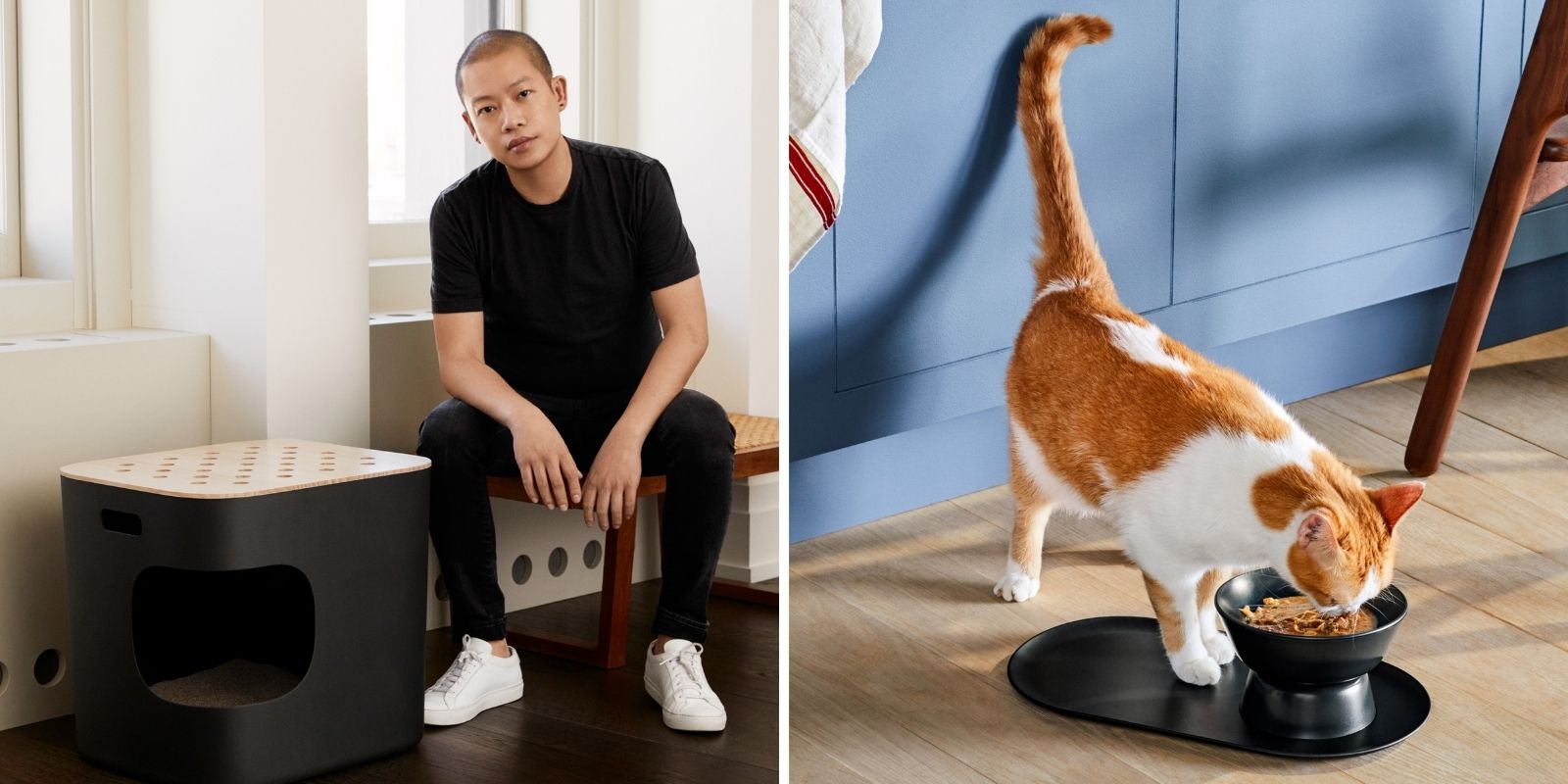 jason wu cat person
