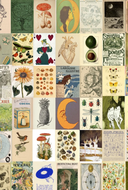 STYLECASTER | Wallpaper Trends 2022