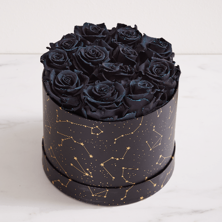 Night Sky Magnificent Roses