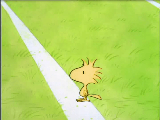 Woodstock Charlie Brown