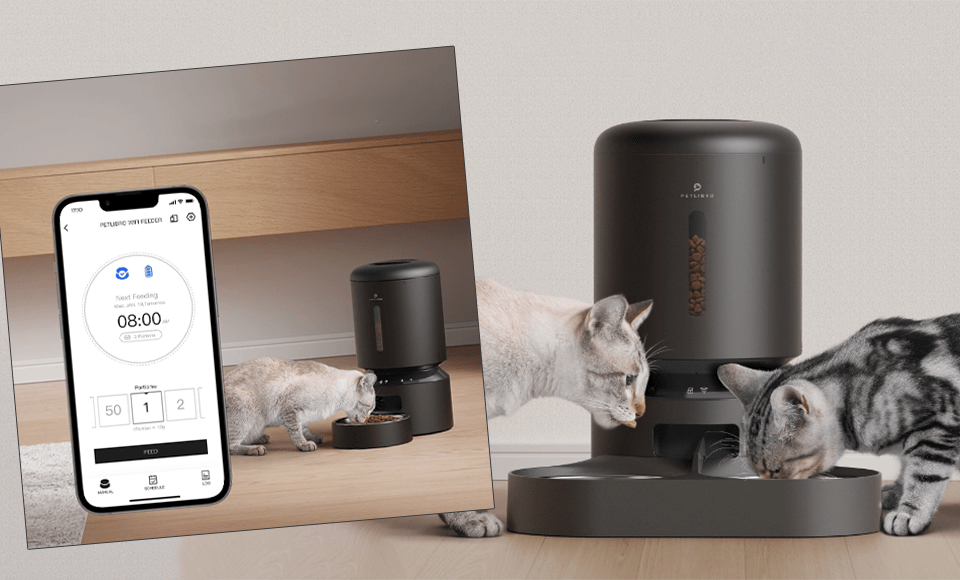Petlibro Automatic Feeder