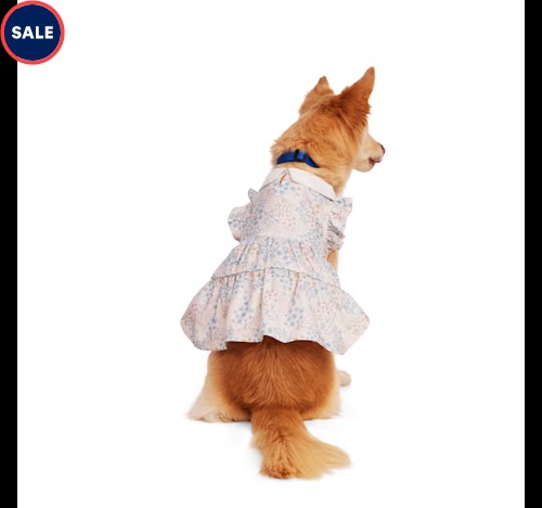 Youly Collared Floral Dog Dress Petco