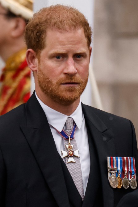 Prince Harry