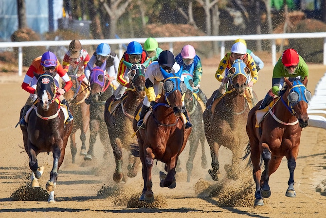 A group of athletes racing horses