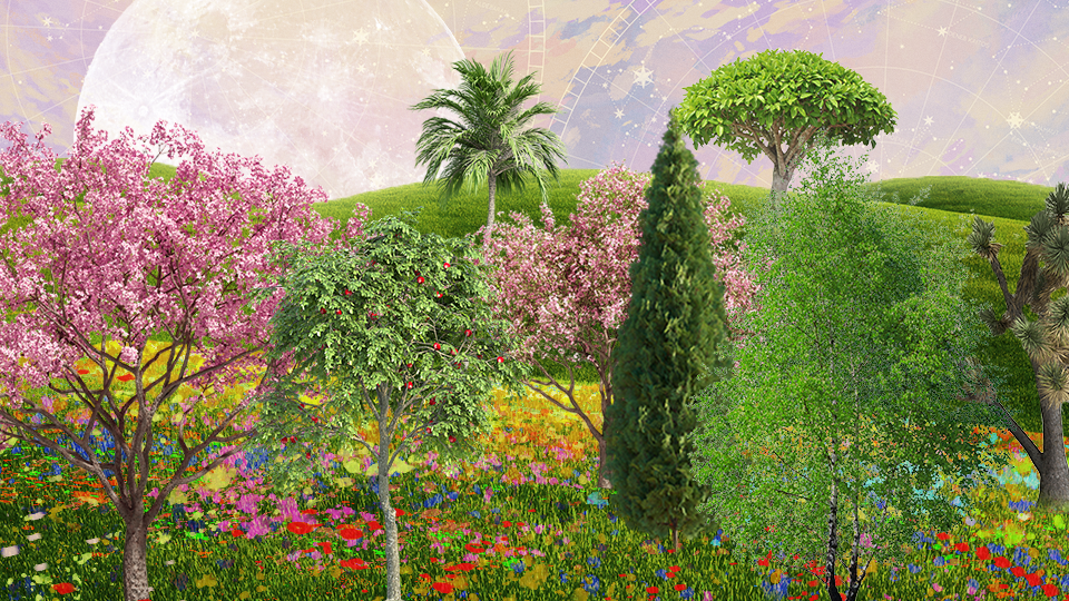 StyleCaster | Zodiac Signs as Trees