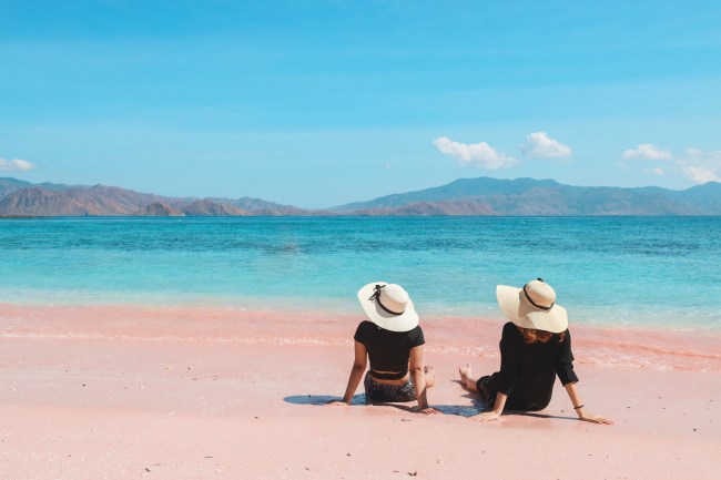 Rear view of woman friends enjoying holiday at pink sand beach