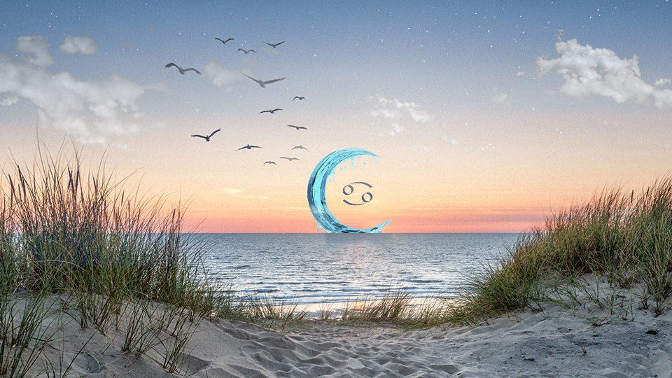 StyleCaster | New Moon in Cancer Horoscopes For Every Zodiac Sign