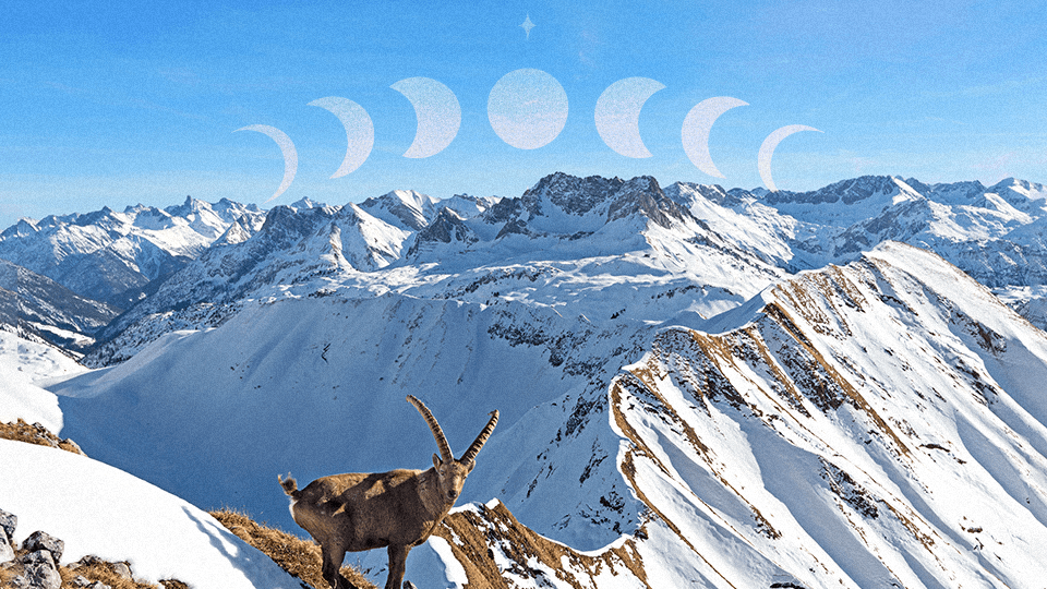 StyleCaster | How the New Moon in Capricorn of January 2024 Will Affect Each Zodiac Sign