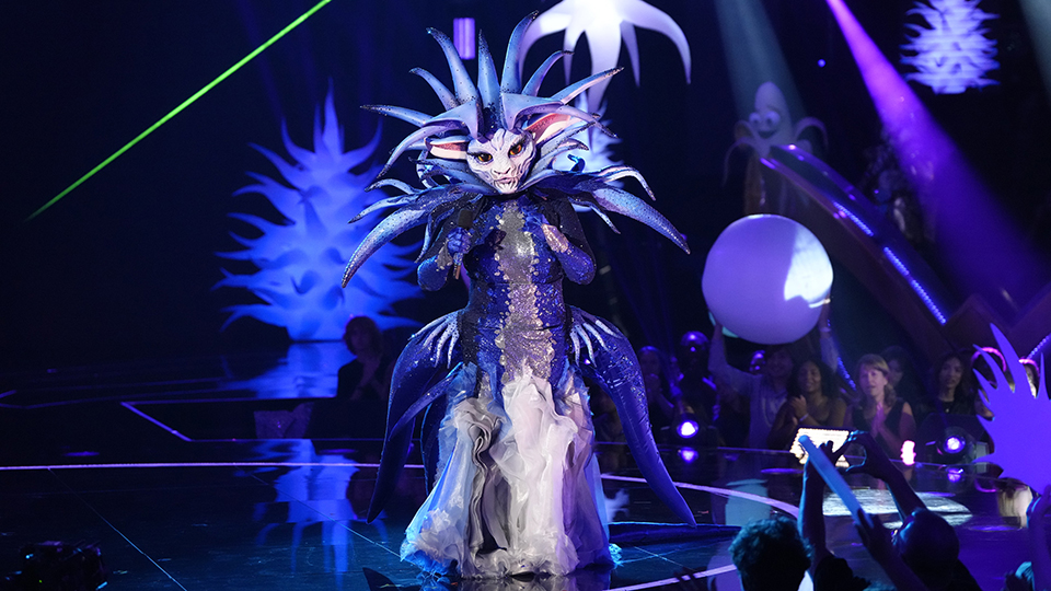 The Masked Singer Cast For Season 11: 2024 Contestants, Costumes
