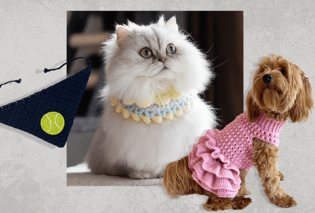 Crochet Pet Accessories