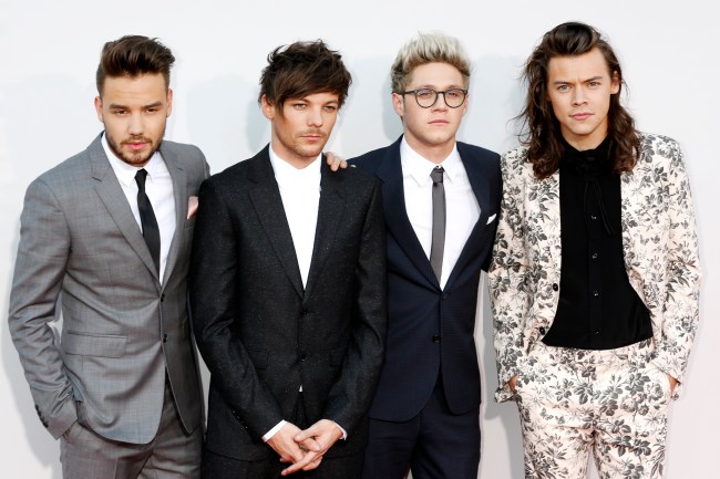Liam Payne, Louis Tomlinson, Niall Horan and Harry Styles of the band 'One Direction' arrive at the American Music Awards in Los Angeles, CA on November 22, 2015.