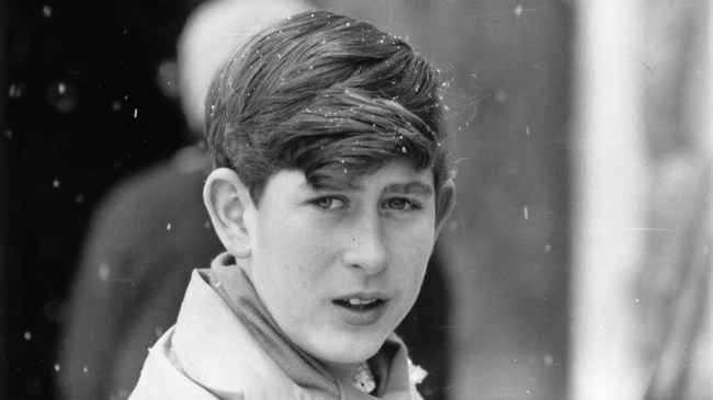 King Charles Young Photos: William & Harry's Dad Now vs Then