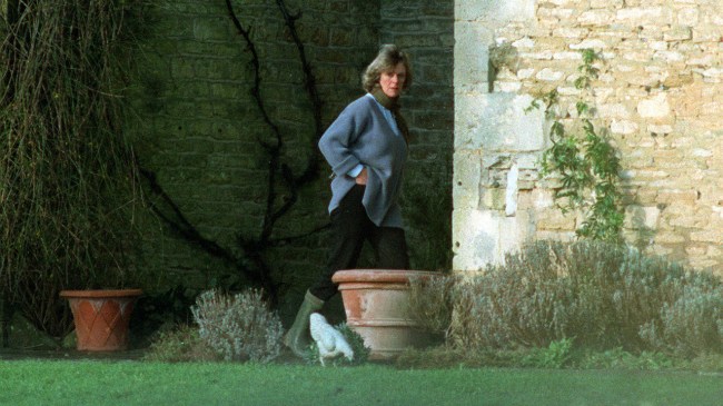 Camilla Parker Bowles Young Photos: Queen Camilla Now vs Then