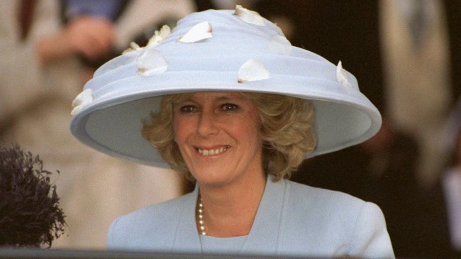 Camilla Parker Bowles Young Photos: Queen Camilla Now vs Then