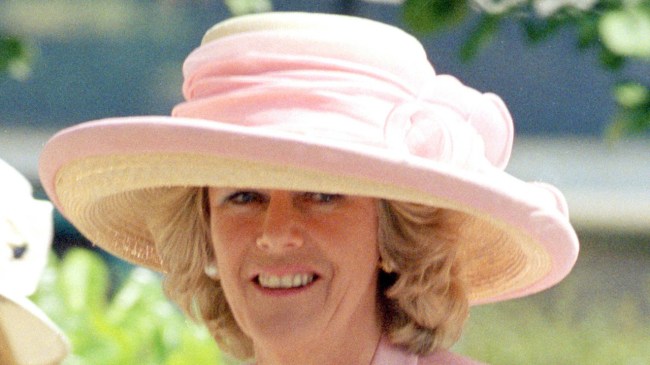 Camilla Parker Bowles Young Photos: Queen Camilla Now vs Then