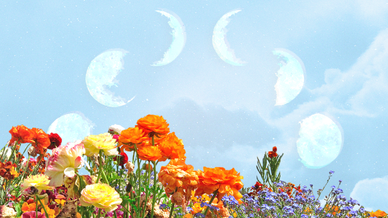 A field of wildflowers beneath a blue sky filled with lunar phases, in representation of how the full Flower Moon in Sagittarius of May 2024 will affect each zodiac sign