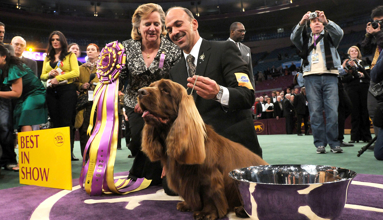 in attendance for 113th Annual Westminster Kennel Club Dog Show, Madison Square Garden, New York, NY 2/10/2009. Photo By: Kristin Callahan/Everett Collection/Everett Collection
