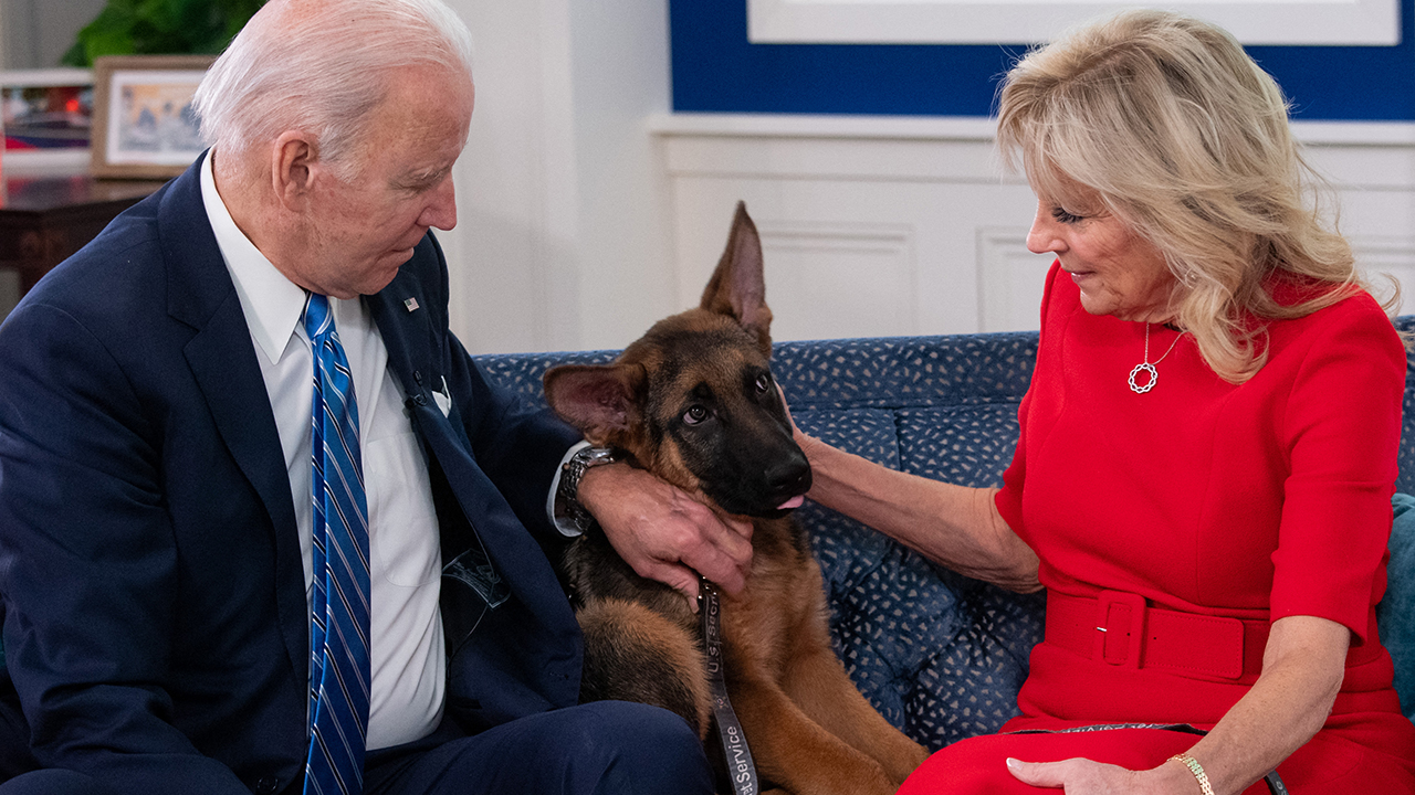 US President Joe Biden and US First Lady Jill Biden, look at their new dog Commander, after speaking virtually with military service members to thank them for their service and wish them a Merry Christmas, from the South Court Auditorium of the White House in Washington, DC, on December 25, 2021.