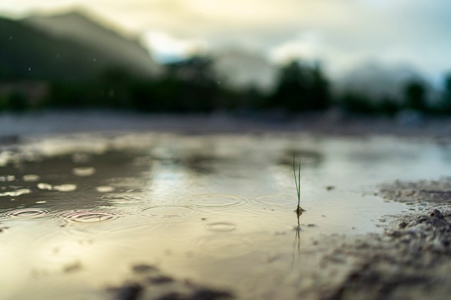 Photo of rain falling on a puddle