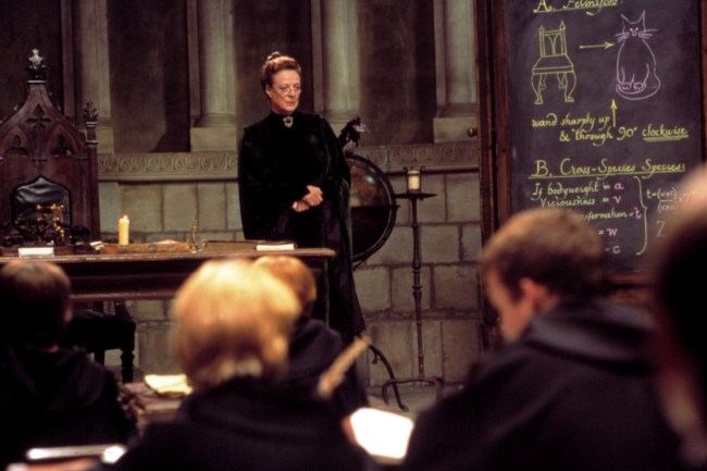 HARRY POTTER AND THE SORCERER'S STONE, Maggie Smith, 2001, (c)