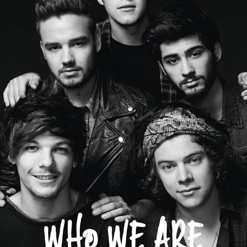 One Direction Net Worths & How Much Liam Payne Made