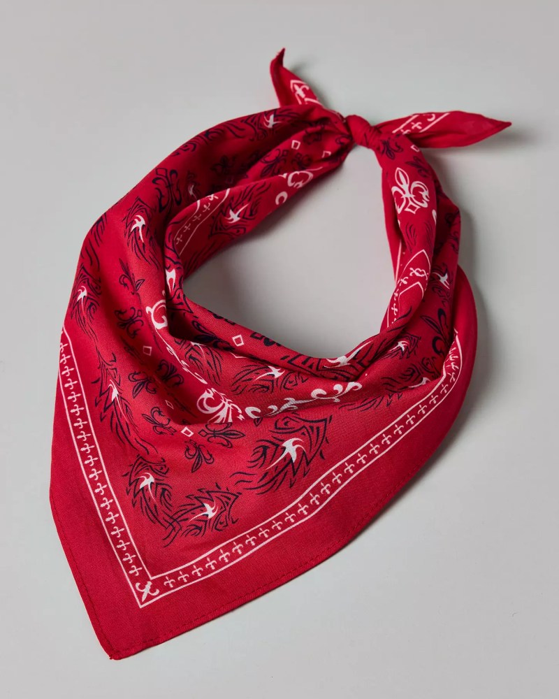 What to Wear to Beyoncé’s Cowboy Carter Tour From a BeyHive Member