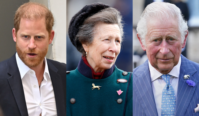 Prince Harry, Princess Anne, King Charles
