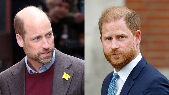 Prince William, Prince Harry